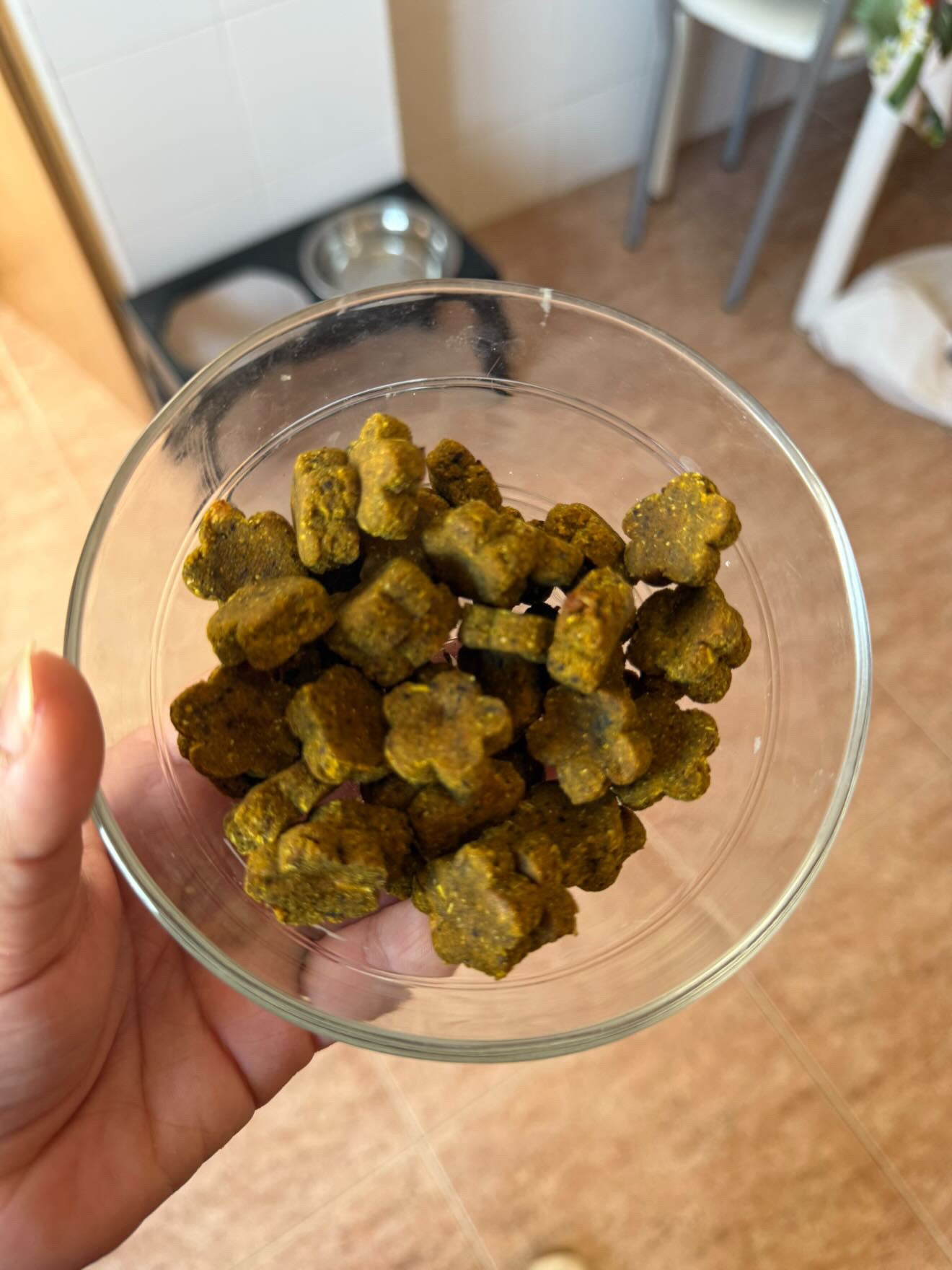 Esenciales: Woof Pipi – Galletas naturales para el bienestar urinario