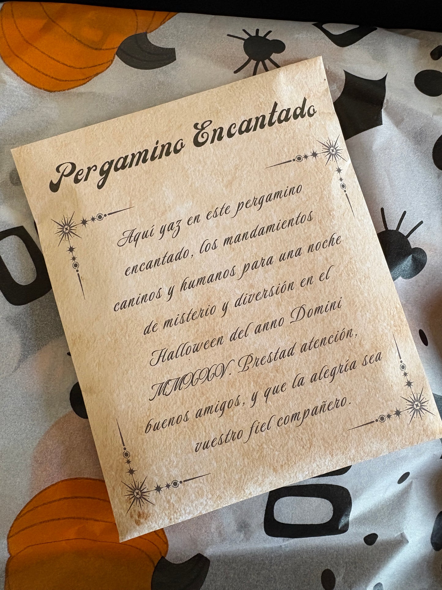 Cajita Truco o Trato – Edición Halloween Woof 2025 Woof Natural - Puro & Simple - Obrador canino