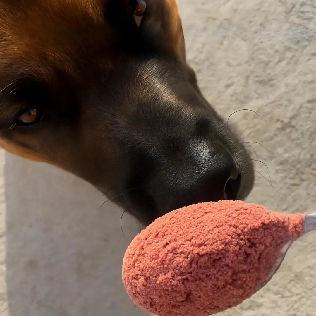 Elixir Rosa & Hibisco — mezcla botánica para perros Woof Natural - Puro & Simple - Obrador canino artesanal para perros felices