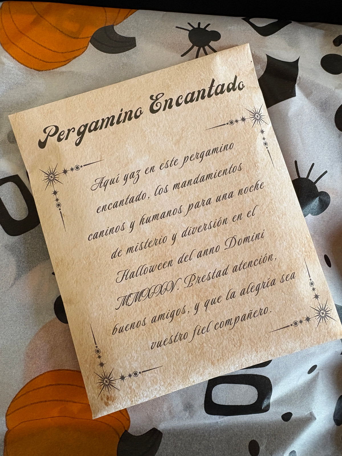 Cajita Truco o Trato – Edición Halloween Woof 2025 Woof Natural - Puro & Simple - Obrador canino