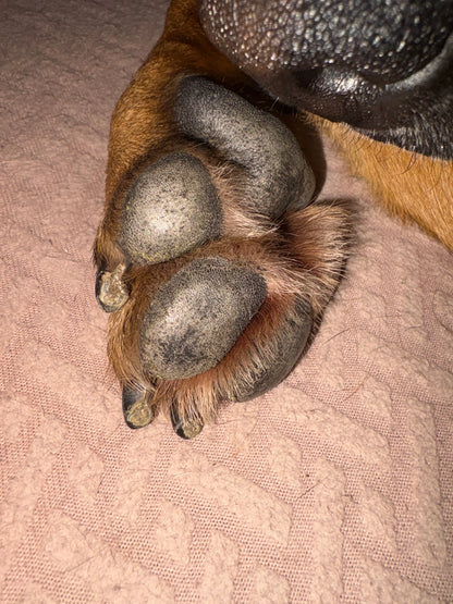WOOF Bálsamo Patas y Trufa